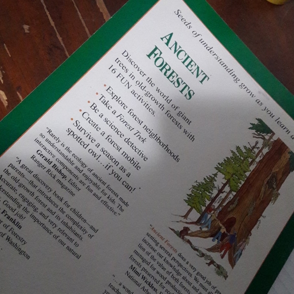 Ancient Forests Workbook by Margaret Anderson | homeschool - Picture 4 of 7